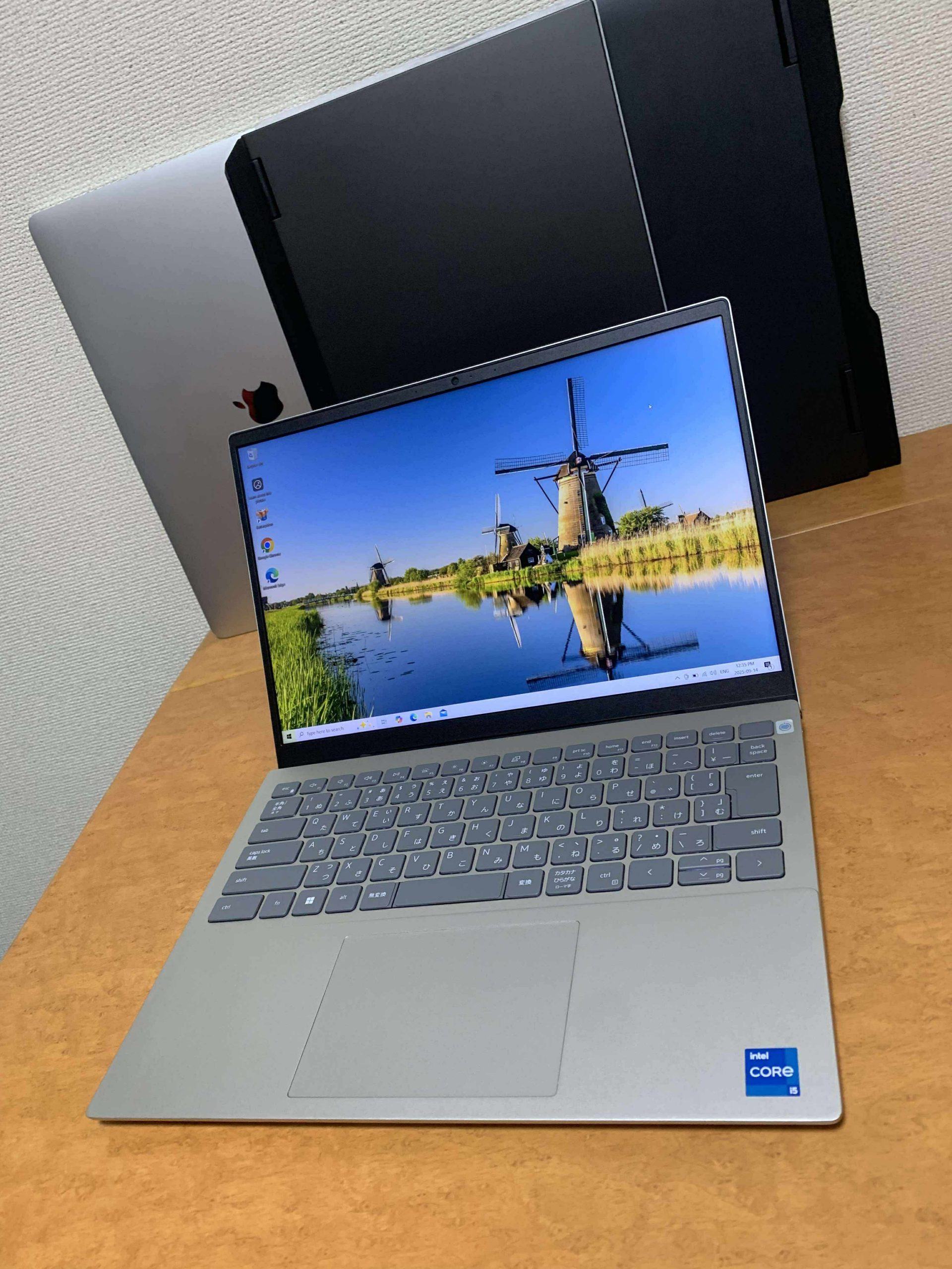 265028552ff73eeda5523f583a54f76a