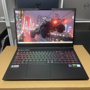 GALLERIA GAMING 2021 I5 9300H 12g 128g 15.6in FHD GTX 1650